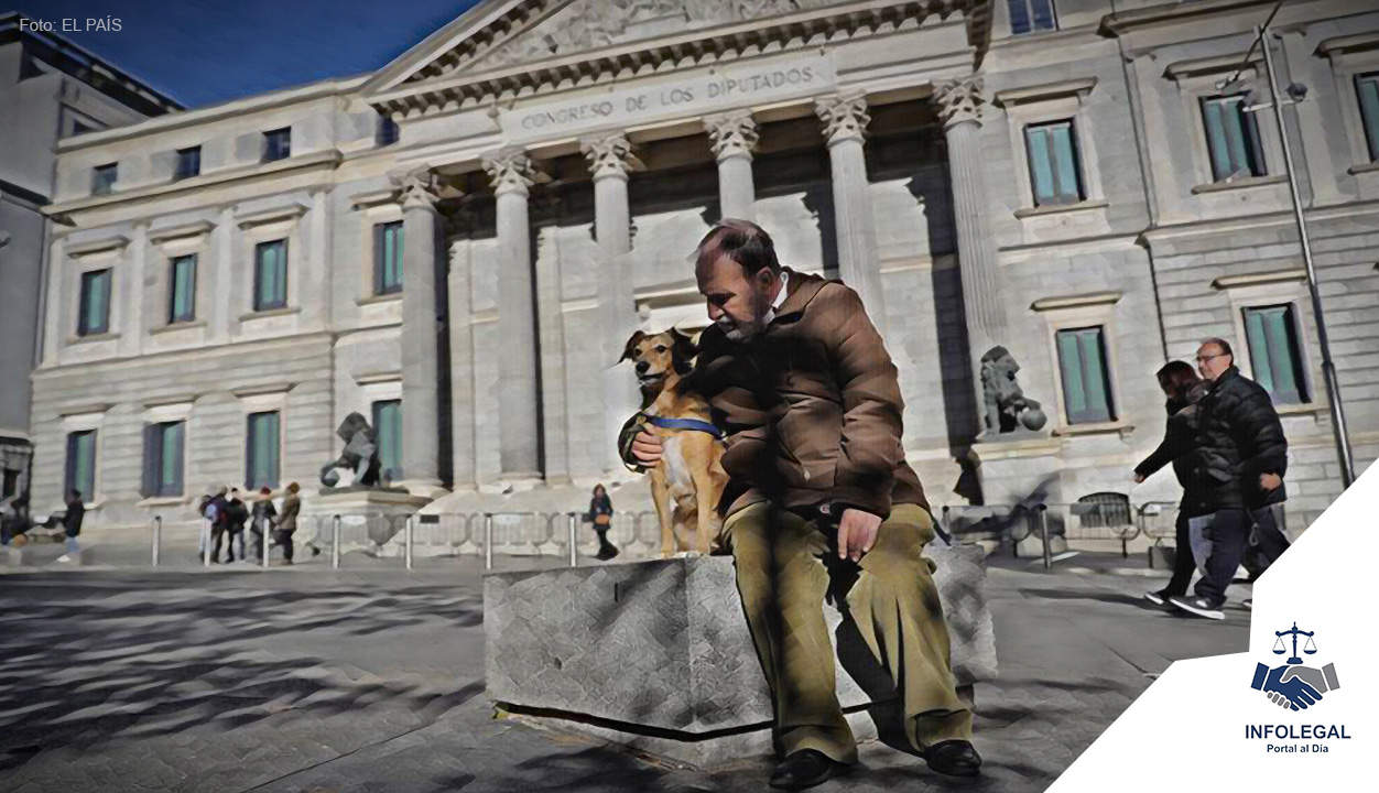 Atención: Congreso de España respalda Ley para que los animales dejen de ser “cosas”
